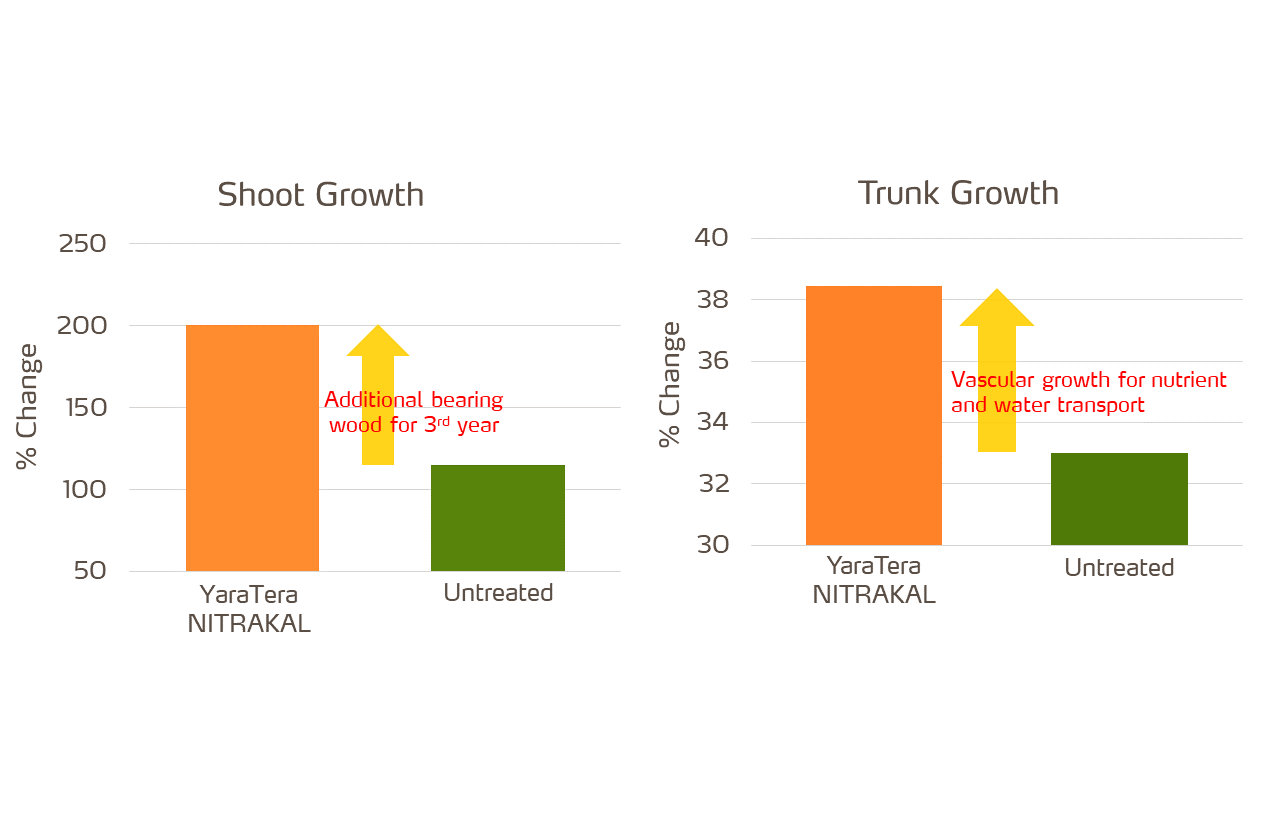 increased trunk diameter and shoot