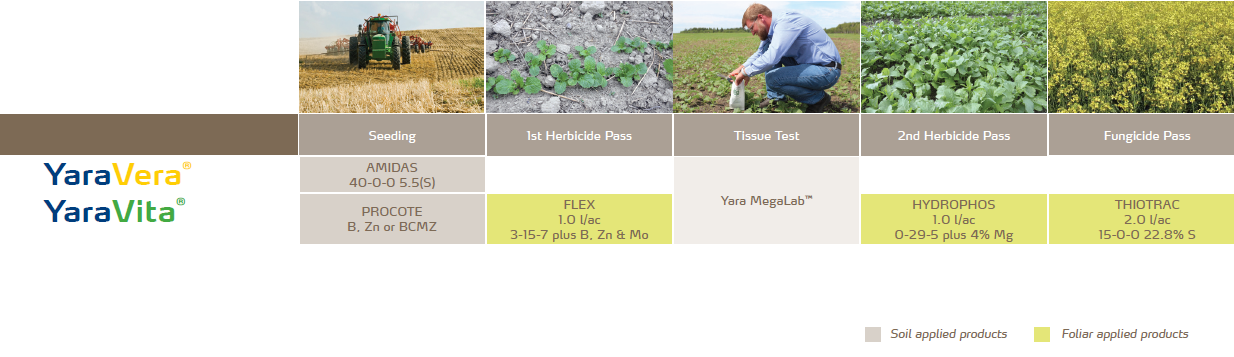 Programmes de Nutrition des Cultures de Canola