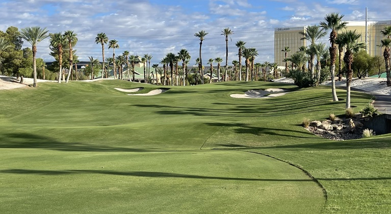 homogeneous npk fertilizers for turf