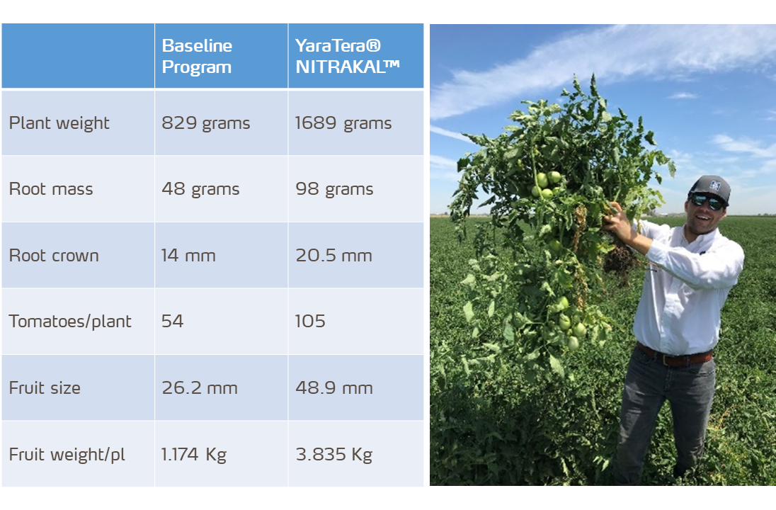 yara trial results