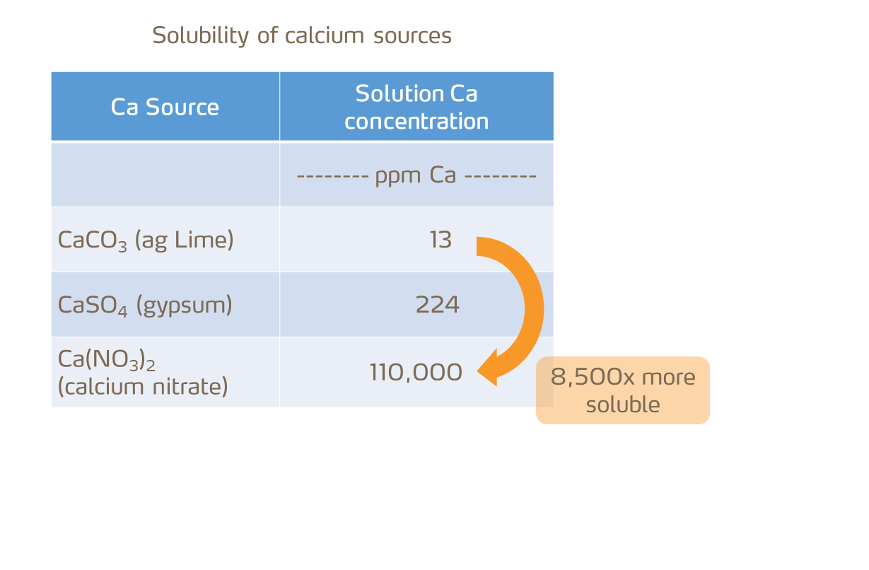 solubility of calcium sources