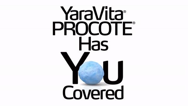 procote