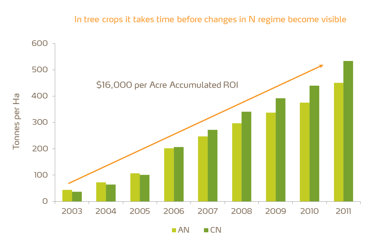 ammonium nitrate versus calcium nitrate on yield and return on investment