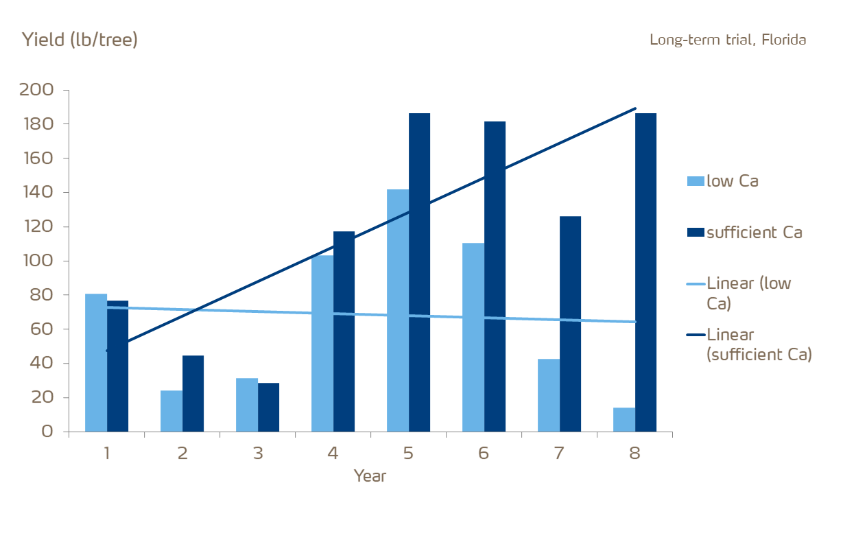 calcium nitrate and citrus yield