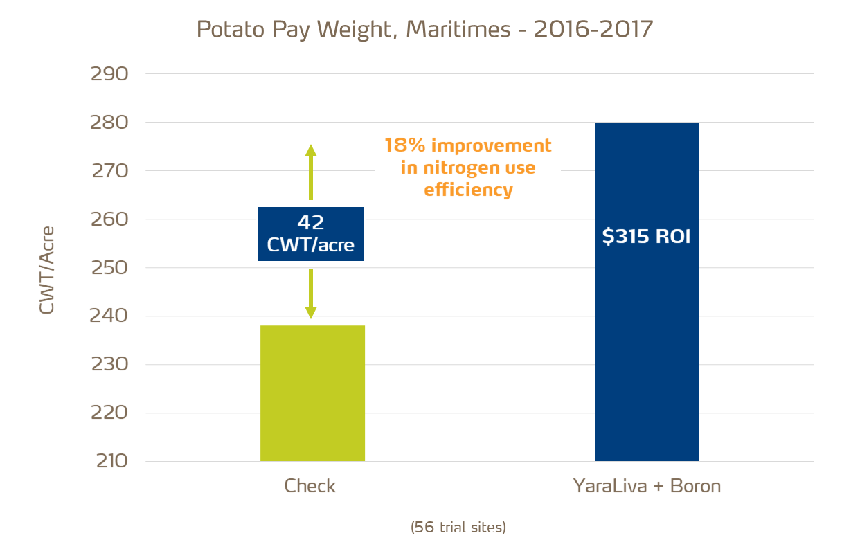 calcium nitrate and potato pay weight