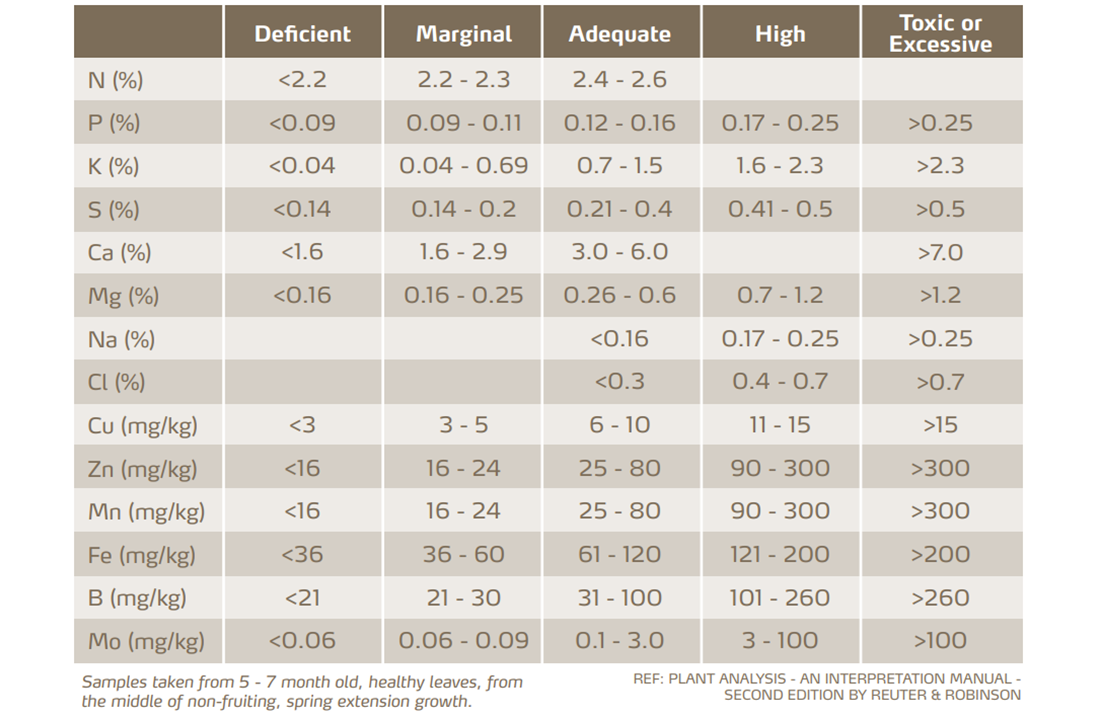 citrus leaf analysis