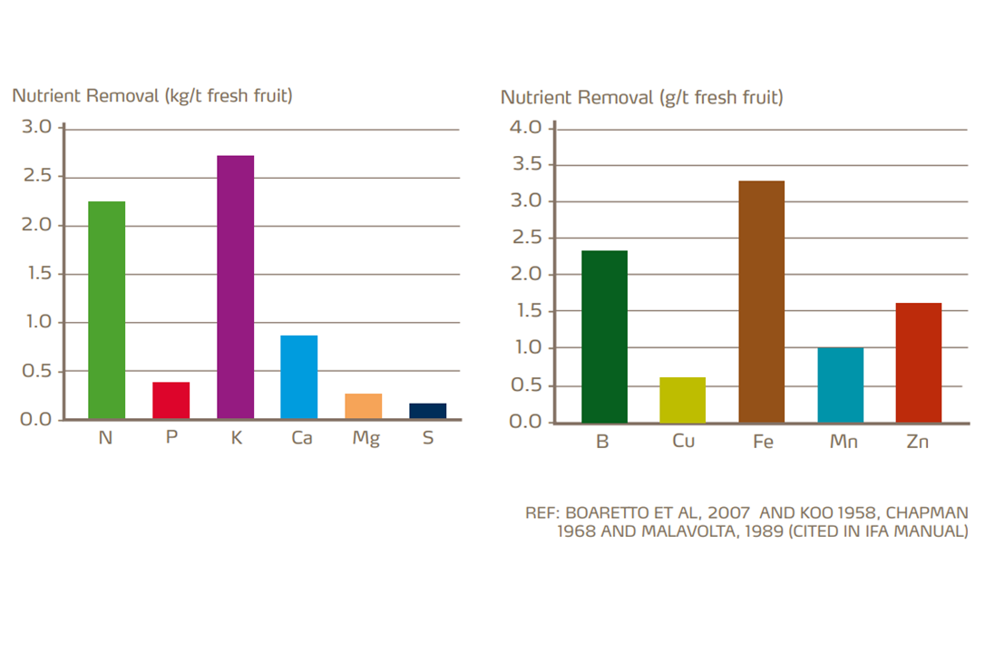 macronutrient and micronutrient removal in citrus