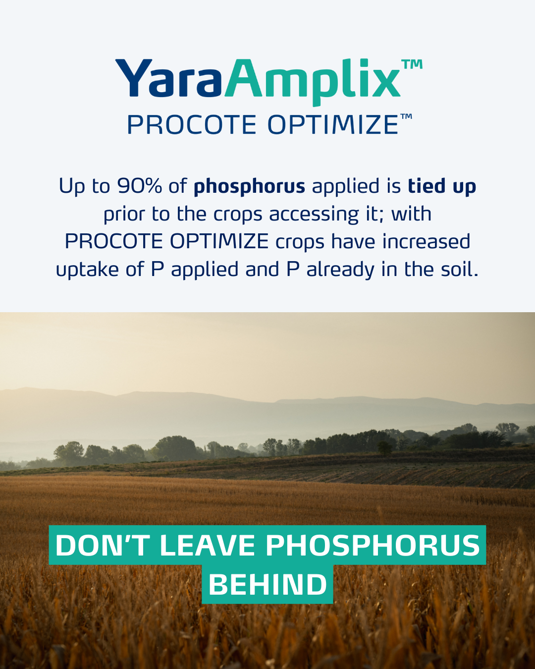 procote optimize social media