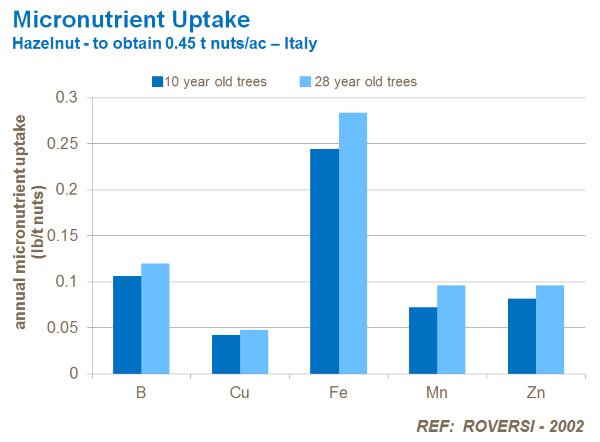 micronutrient uptake in hazelnuts