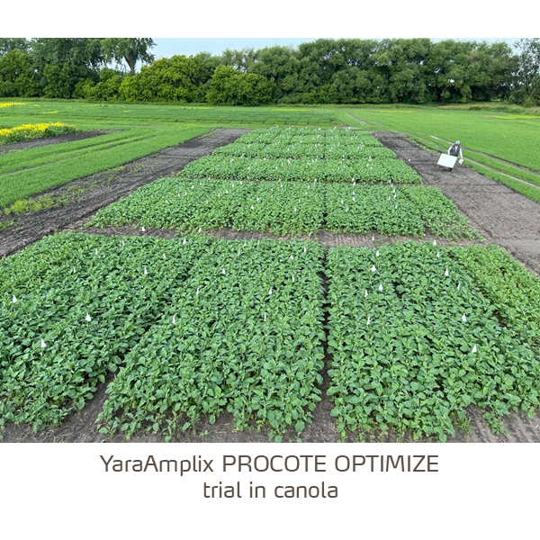 procote optimize trial in canola
