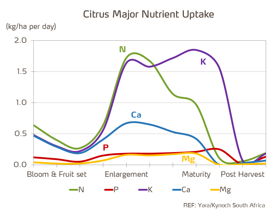 citrus nutrient demand chart