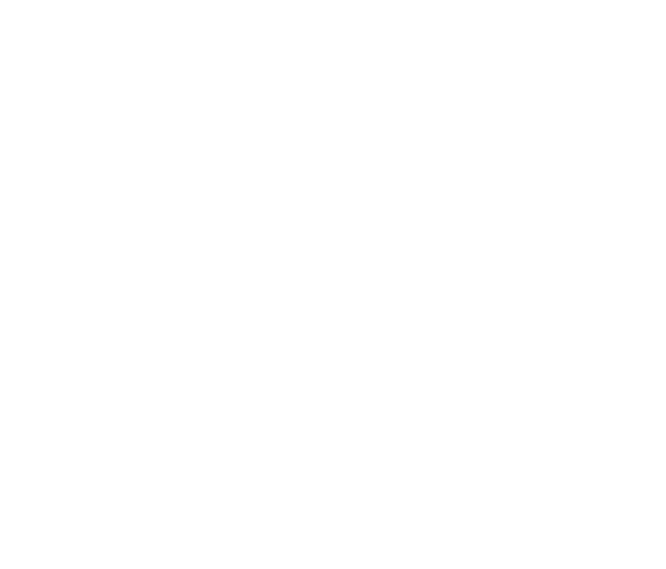 phosphorus uptake