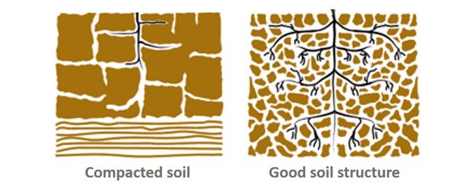 SOIL.jpg