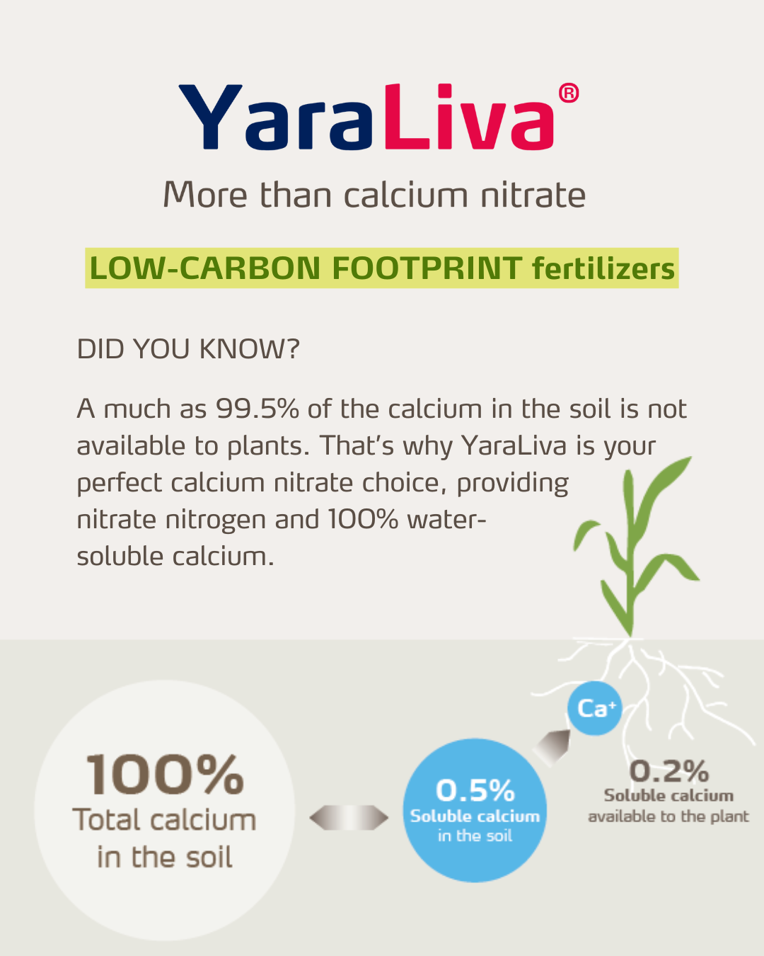 yaraliva social media