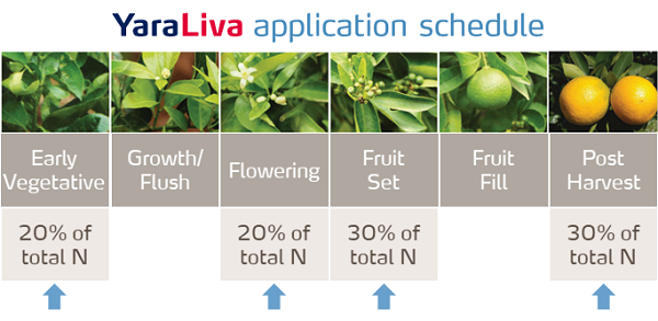 yaraliva application schedule citrus.png