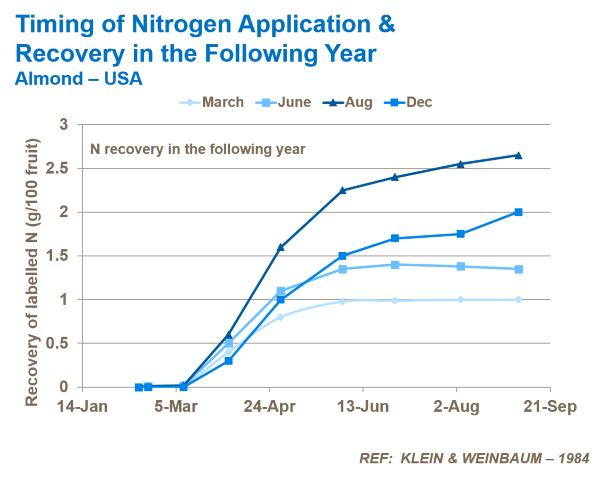 nitrogen timing and almond tree recovery