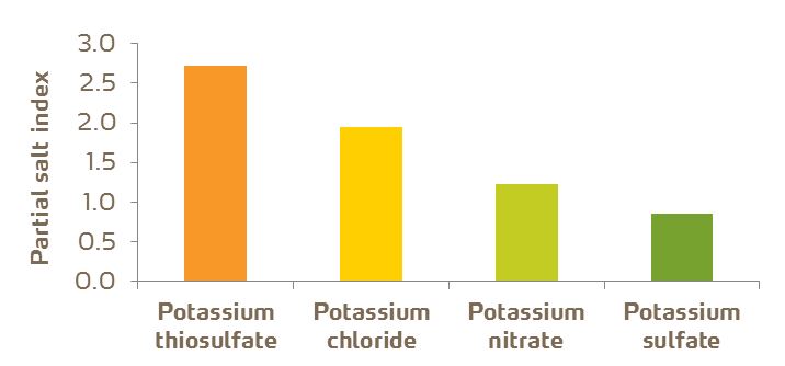 potassium salt index in common fertilizer