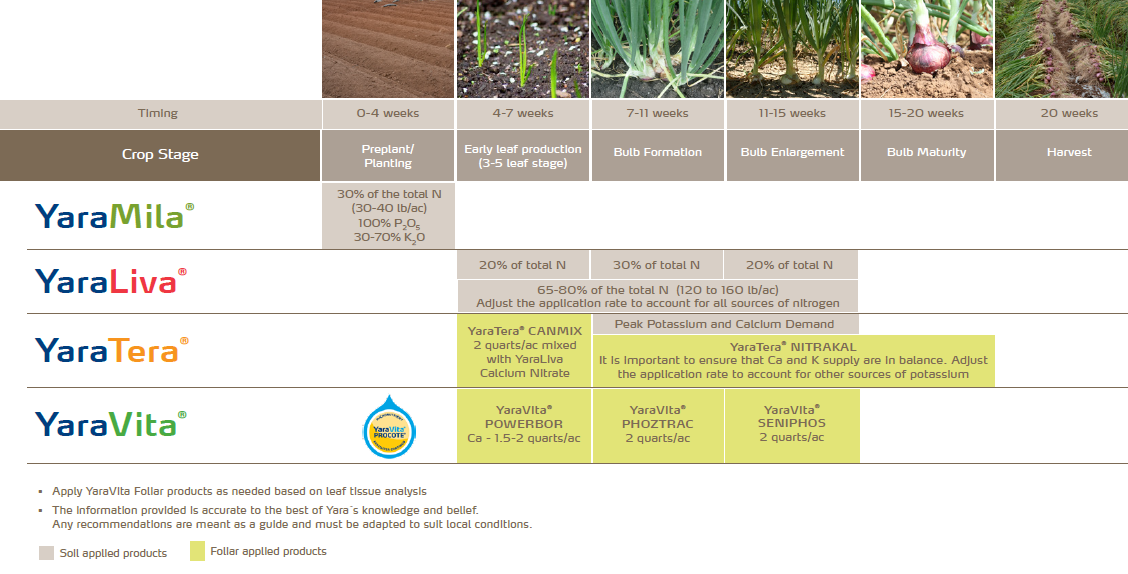 snip of onion nutrition program.png