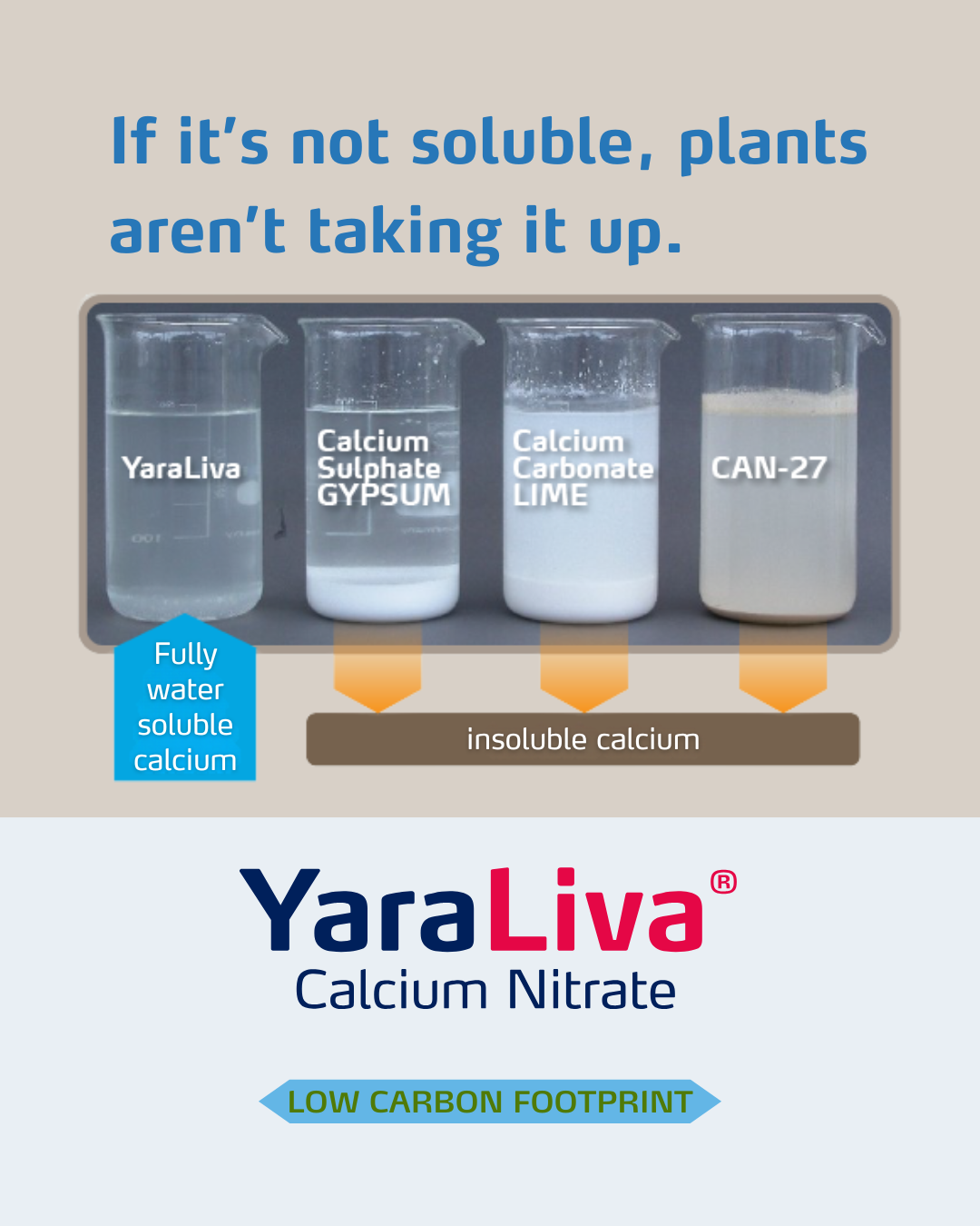 yaraliva social media