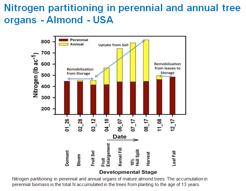 nitrogen partitioning in almonds