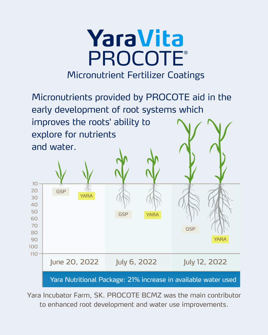 procote social media