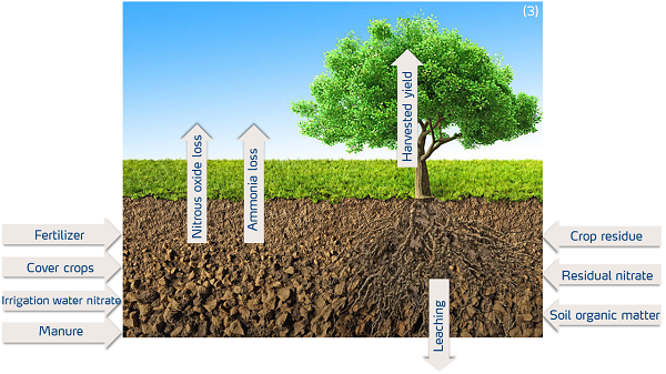 fig 3 - tree diagram.png