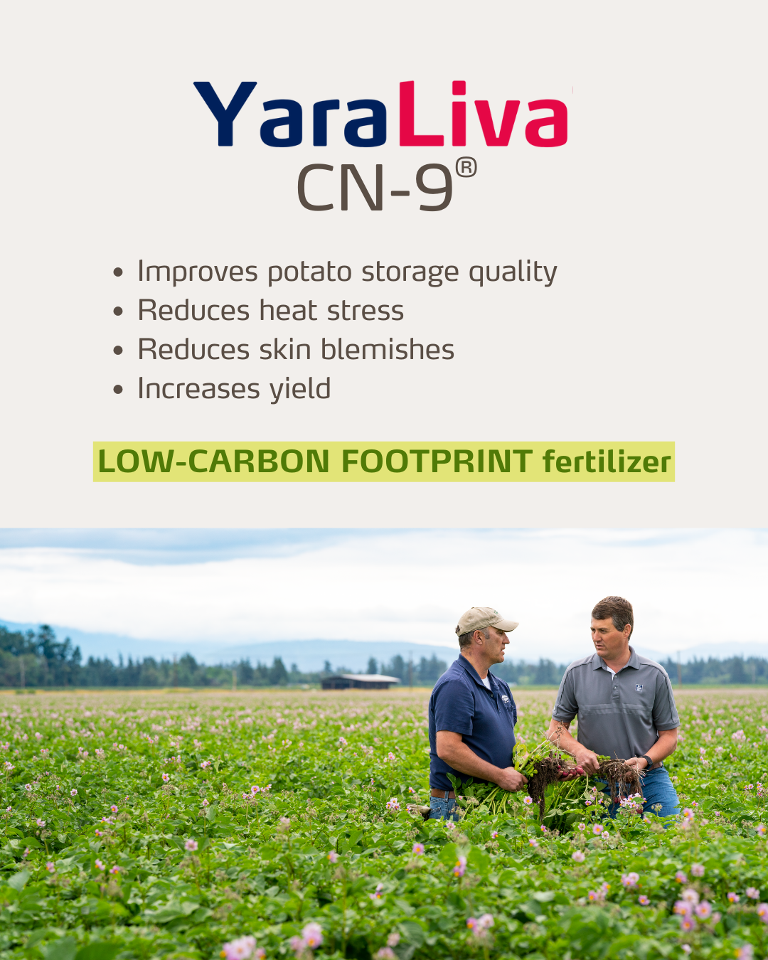 yaraliva social media