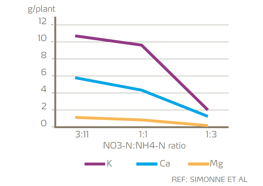 N form and cation uptake - watermelon.png