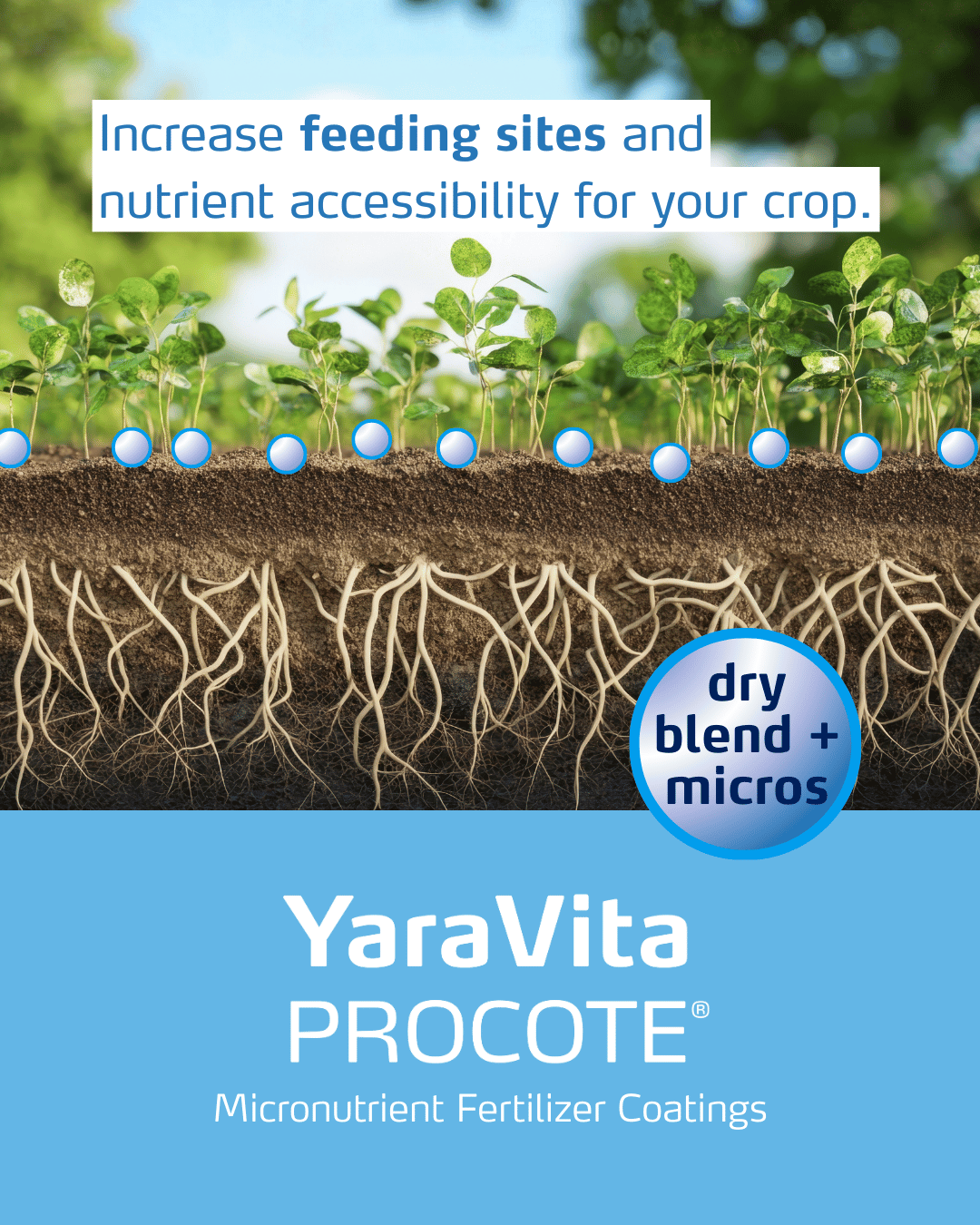 procote social media