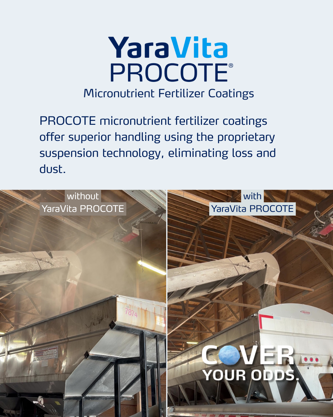 procote social media