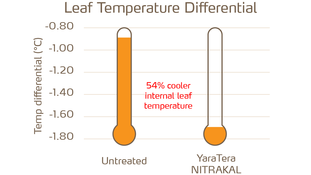 yaratera-nitrakal-graph-2020-10-05-1280x720-leaf-temperature.png