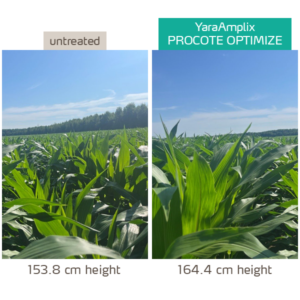 procote optimize trial in corn
