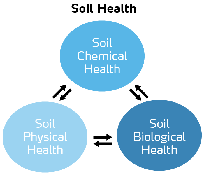 soil health diagram