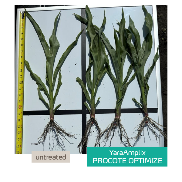 procote optimize trial in corn