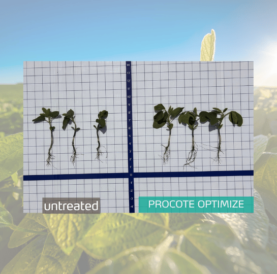 procote optimize soybean trials