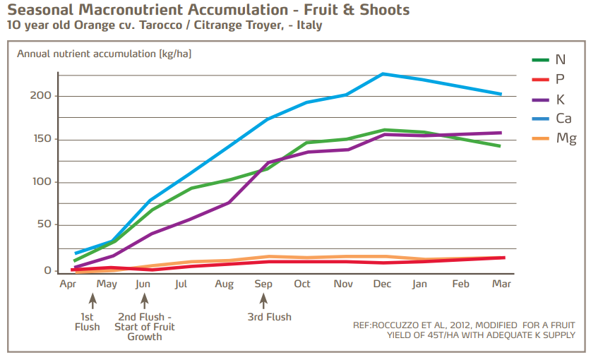 citrus - seasonal macronutrient accumulation.png