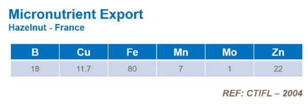 micronutrients in hazelnuts