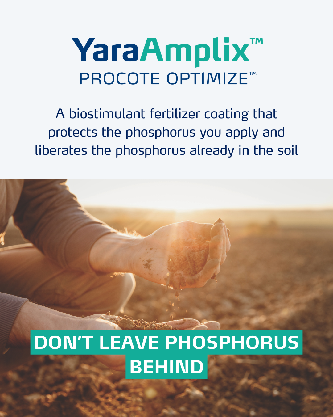 procote optimize social media