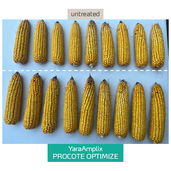 procote optimize trial in corn