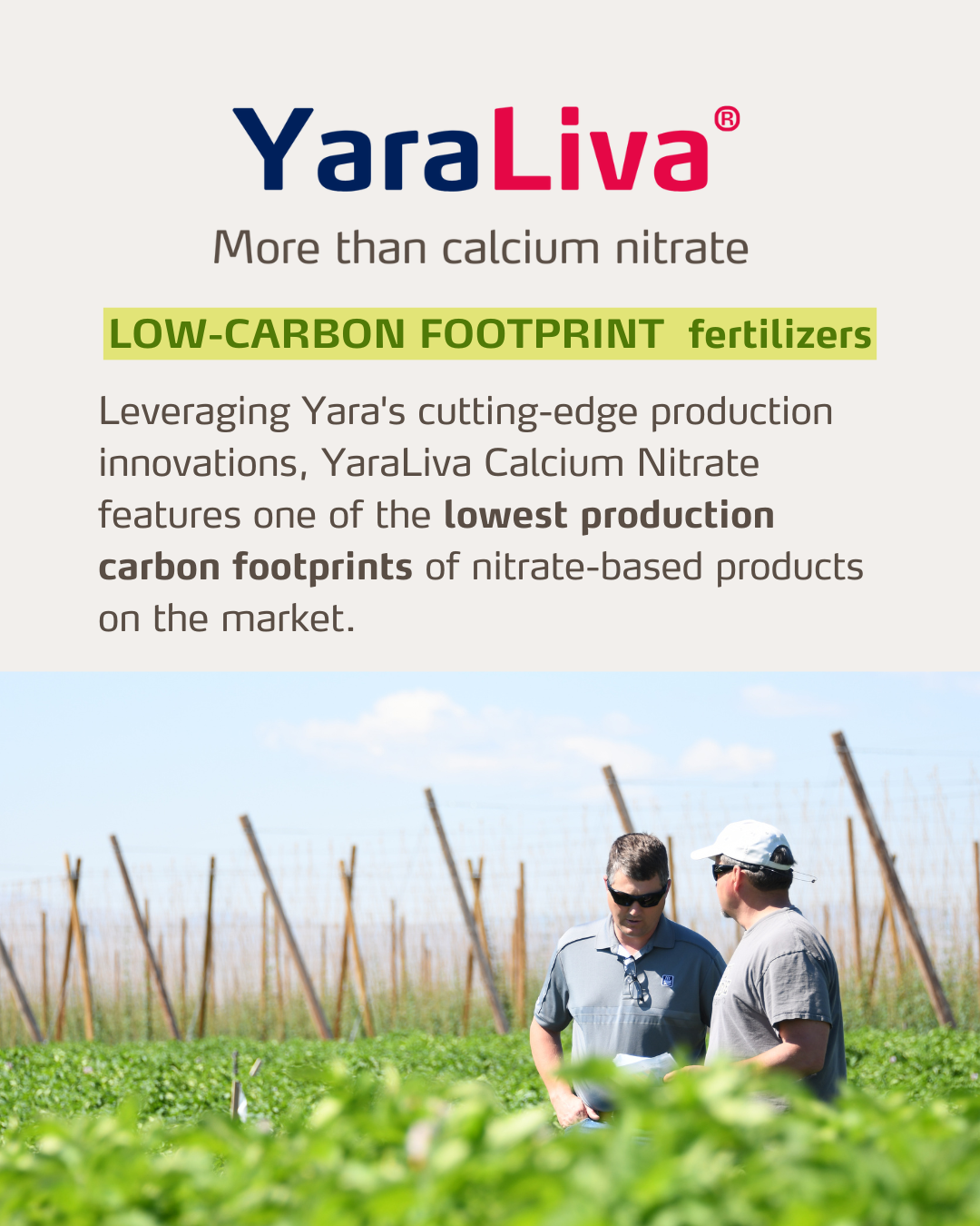 yaraliva social media