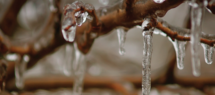 icy crystals in almonds.png