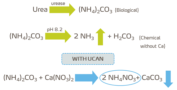 fig2 - urea-urease-AMcarbonate-AMgas-with-UCAN.png