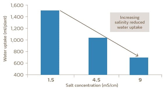 Salt Concentration Graph.jpg