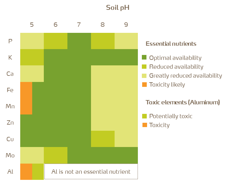 influence of soil pH on nutrient.png