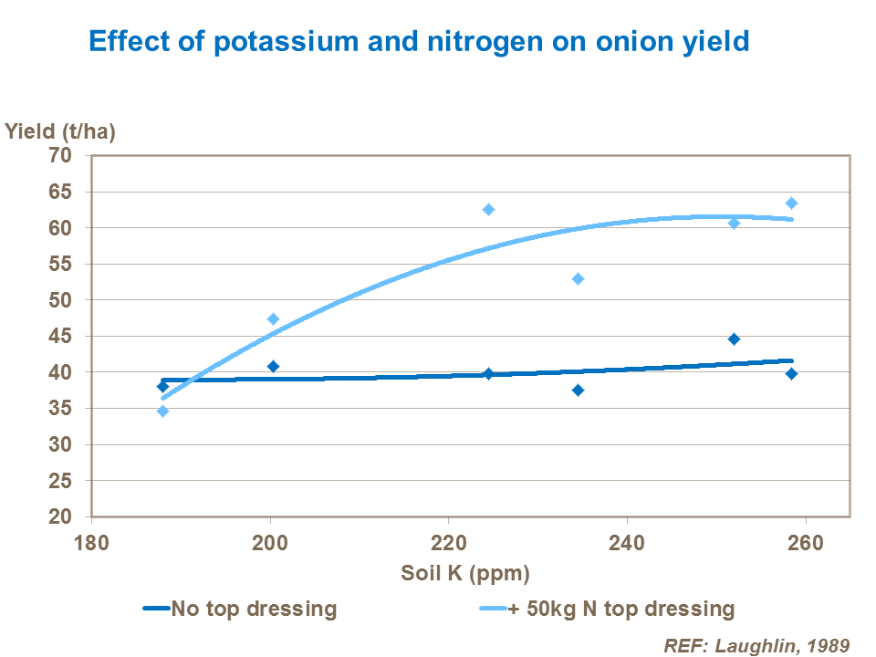 Effect of potassium and nitrogen on onion yield