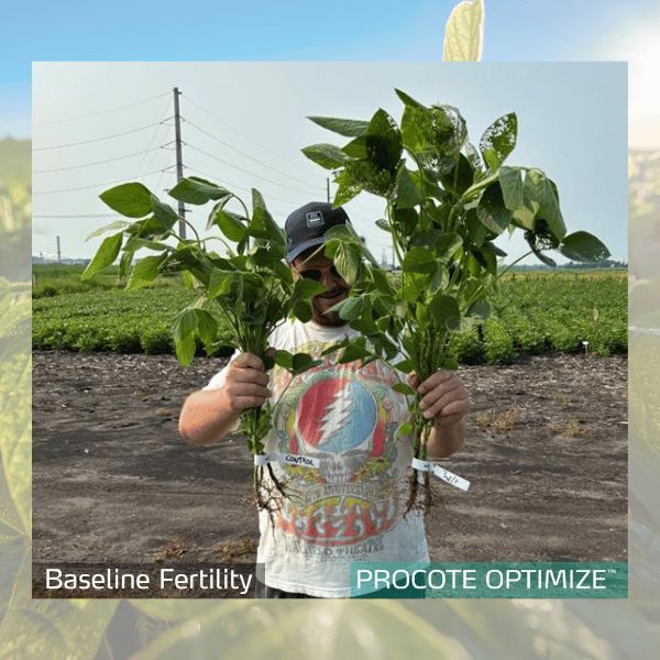 procote optimize in soybeans