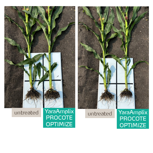 procote optimize trial in corn