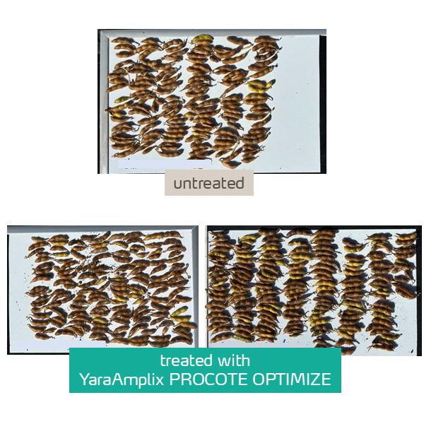 procote optimize trial in soybean