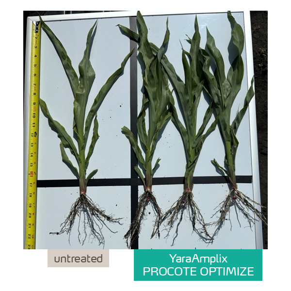 procote optimize trial in corn