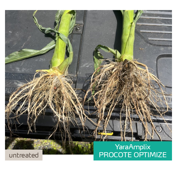 procote optimize trial in corn